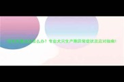 母犬分娩出血怎么办专业犬只生产期异常症状及应对指南