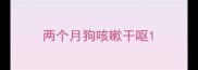 两个月狗咳嗽干呕
