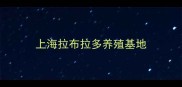 上海拉布拉多养殖基地