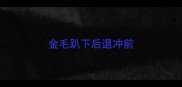 金毛趴下后退冲前