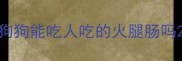 狗狗能吃人吃的火腿肠吗