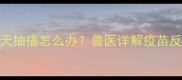 狗狗打完疫苗后三天抽搐怎么办兽医详解疫苗反应与紧急处理指南