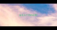金毛五个月的标准