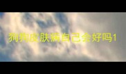 狗狗皮肤病自己会好吗