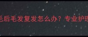 哈士奇皮肤病剃毛后毛发复发怎么办专业护理指南及预防措施