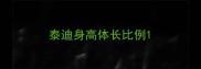 泰迪身高体长比例