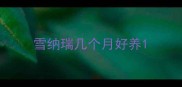 雪纳瑞几个月好养