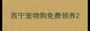 西宁宠物狗免费领养