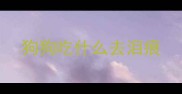 狗狗吃什么去泪痕