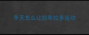 冬天怎么让拉布拉多运动