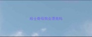 哈士奇母狗会漂亮吗