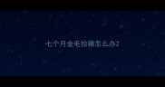 七个月金毛拉稀怎么办