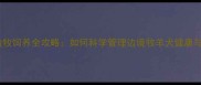 二月边牧饲养全攻略如何科学管理边境牧羊犬健康与行为