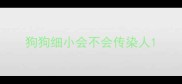 狗狗细小会不会传染人