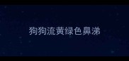 狗狗流黄绿色鼻涕