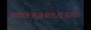 狗狗洗完澡能扎疫苗吗