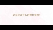 幼犬应该什么时候打疫苗