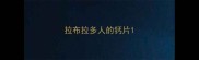 拉布拉多人的钙片