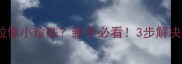 泰迪便便一粒粒像小珍珠新手必看3步解决肠胃敏感难题