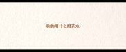 狗狗用什么眼药水