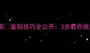 拉布拉多幼犬选购指南鉴别技巧全公开3步教你挑到健康活泼的小黄皮