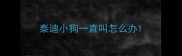 泰迪小狗一直叫怎么办