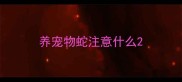 养宠物蛇注意什么