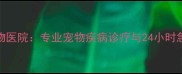 重庆联合宠物医院专业宠物疾病诊疗与24小时急诊服务指南
