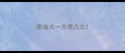 泰迪犬一天喂几次