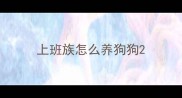 上班族怎么养狗狗