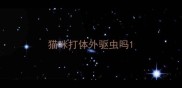 猫咪打体外驱虫吗