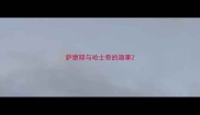 萨摩耶与哈士奇的趣事