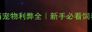 刺猬当宠物利弊全新手必看饲养指南