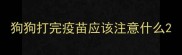 狗狗打完疫苗应该注意什么