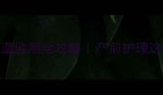 拉布拉多怀孕体温监测全攻略产前护理这样做宝宝更健康