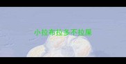 小拉布拉多不拉屎