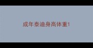 成年泰迪身高体重