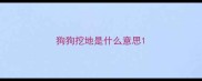 狗狗挖地是什么意思