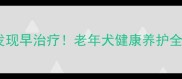 狗狗皮下肿瘤早发现早治疗老年犬健康养护全攻略附自检指南