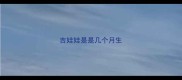 吉娃娃是是几个月生