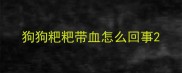 狗狗粑粑带血怎么回事