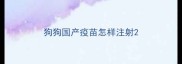 狗狗国产疫苗怎样注射