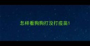 怎样看狗狗打没打疫苗