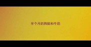 半个月的狗能和牛奶