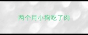 两个月小狗吃了肉