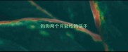 狗狗两个月能吃狗饼干