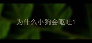 为什么小狗会呕吐