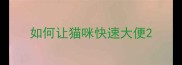 如何让猫咪快速大便
