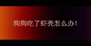 狗狗吃了虾壳怎么办