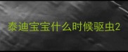 泰迪宝宝什么时候驱虫